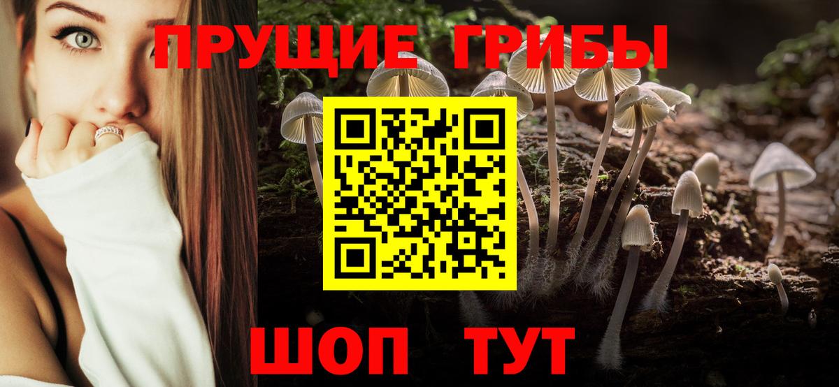 Беслан  Псилоцибиновые грибы мицелий  Вход с VPN  Псилоцибиновые грибы GOLDEN TEACHER 