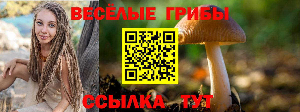 Псилоцибиновые грибы мицелий Беслан